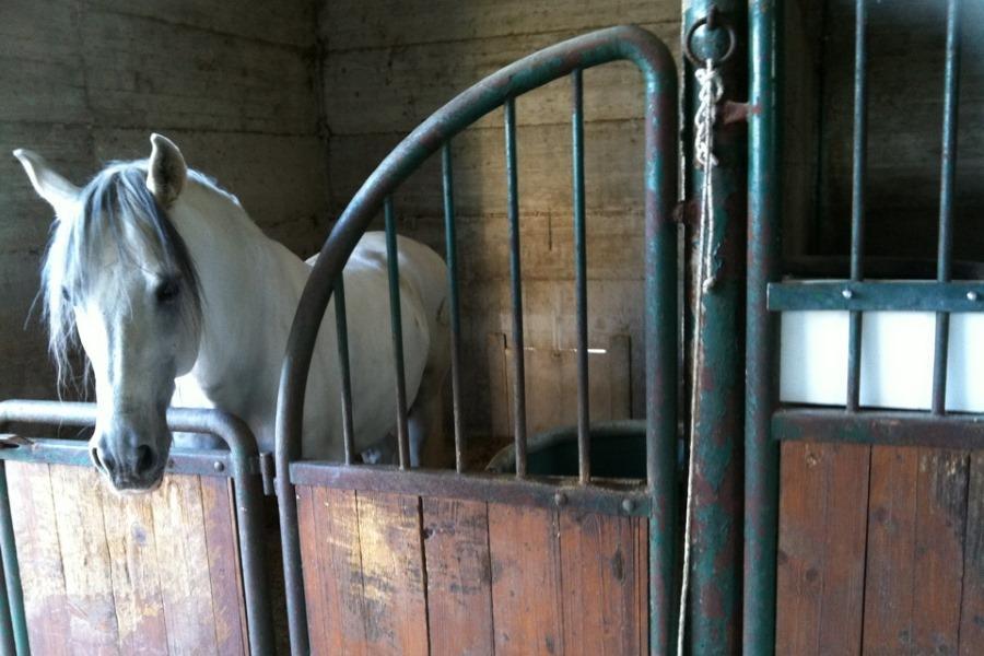 קאסאנו דלה מורג'ה Agriturismo Amicizia מראה חיצוני תמונה