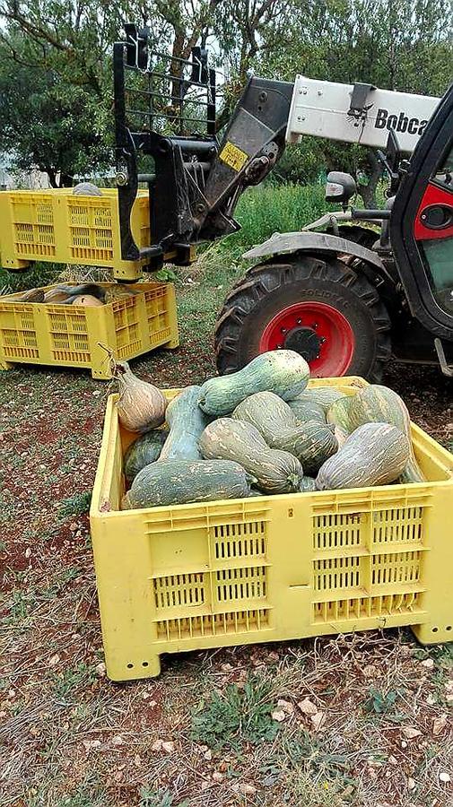 קאסאנו דלה מורג'ה Agriturismo Amicizia מראה חיצוני תמונה